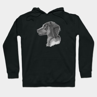 Field trail cocker spaniel Hoodie